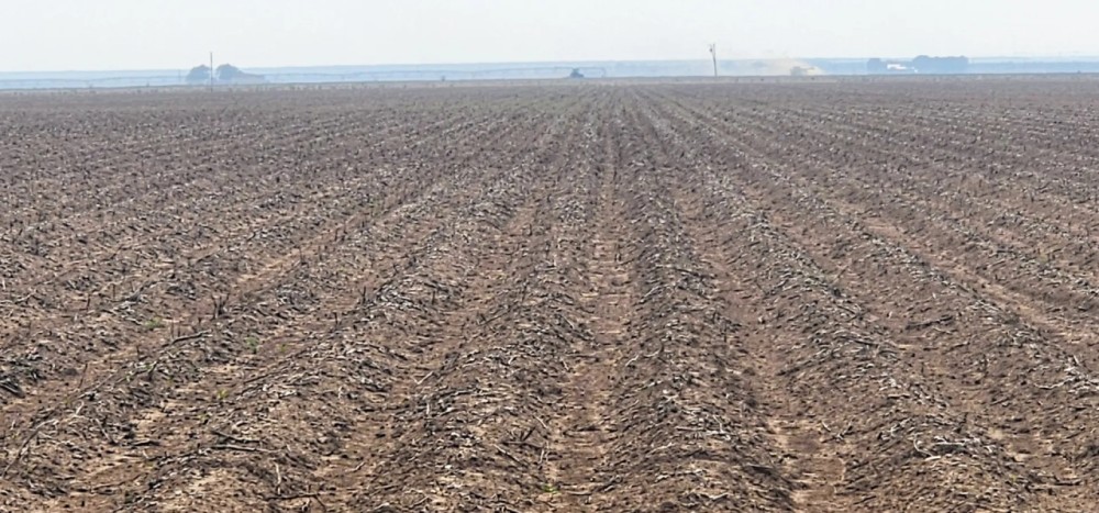Farm land Property in Wall Texas featured image