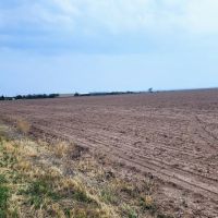 Farm land Property in Wall Texas images 2