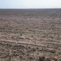 Farm land Property in Wall Texas images 3