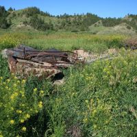 Beckman WMA - 6,638 acres tract for Deer & Turkey hunting in Fergus, MT