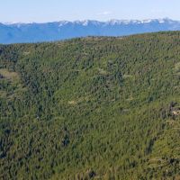 Coon Hollow Retreat images 4