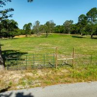 15 - Acres Paved Road Frontage Pond Electric on Property Water Available Cave City Arkansas images 2