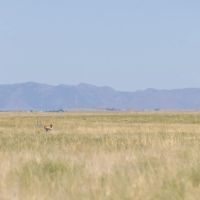 Heartbar Ranch images 4
