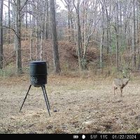 Wilkinson County Land for Sale Bordering National Forest