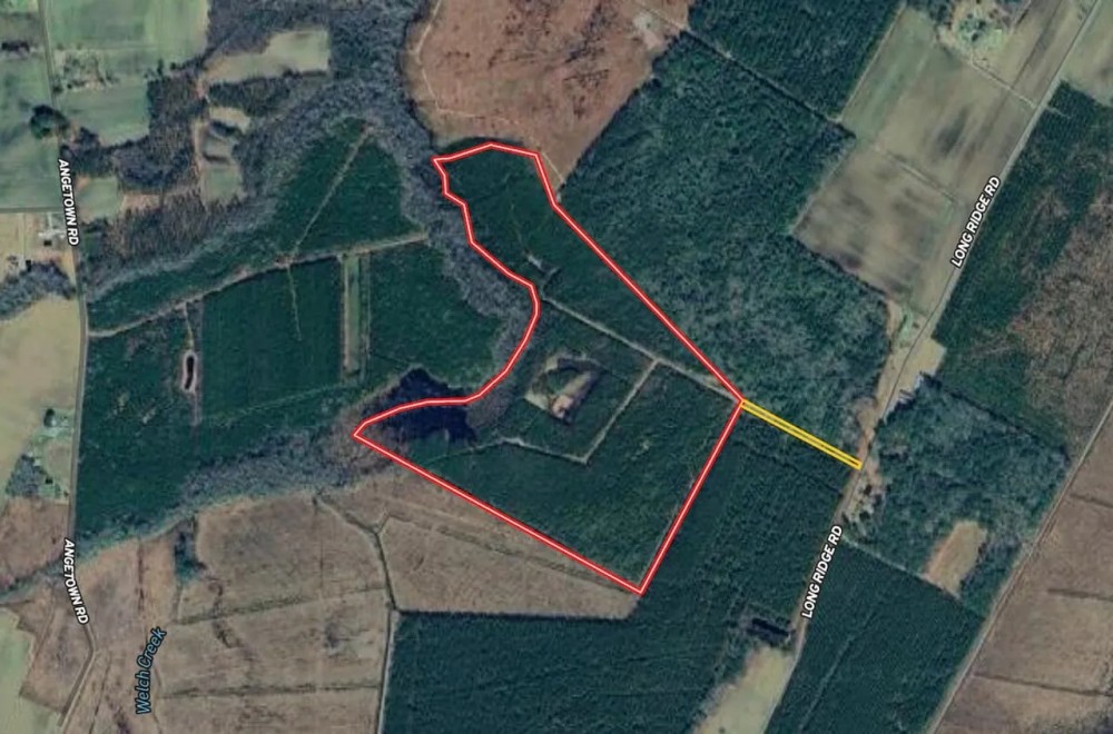 88.74 acre Turn Key Hunting and Investment Land For Sale in Washington County NC featured image