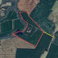 88.74 acre Turn Key Hunting and Investment Land For Sale in Washington County NC images 1