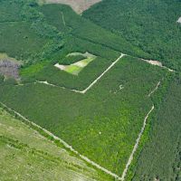 88.74 acre Turn Key Hunting and Investment Land For Sale in Washington County NC images 2