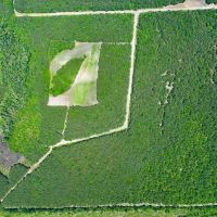 88.74 acre Turn Key Hunting and Investment Land For Sale in Washington County NC images 3