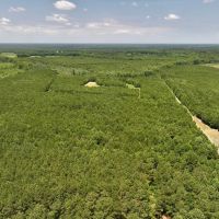 88.74 acre Turn Key Hunting and Investment Land For Sale in Washington County NC images 4