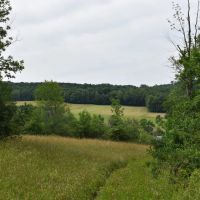 Jackson Hill Gem images 2
