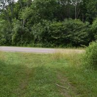 Jackson Hill Gem images 3