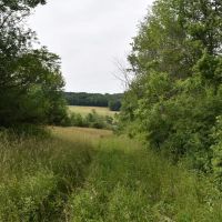 Jackson Hill Gem images 4