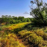 Rainy Creek Ranch images 3