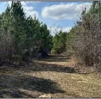 165 Acres in Scott County in Forest MS images 2