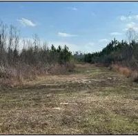 165 Acres in Scott County in Forest MS images 4