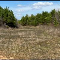 165 Acres in Scott County in Forest MS images 5