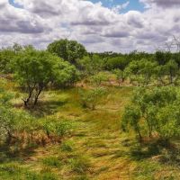 RS 56686 - 101 acres FM 367 Electra TX 76360 images 2