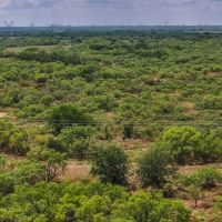 RS 56686 - 101 acres FM 367 Electra TX 76360 images 3