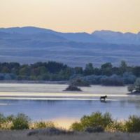 Canyon Ferry WMA of 5,920 acres for hunting Deer in Broadwater, MT