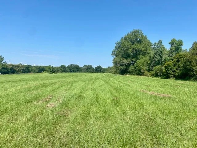 25 acres Jayess MS featured image