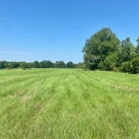25 acres Jayess MS images 1