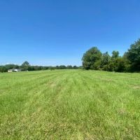 25 acres Jayess MS images 2