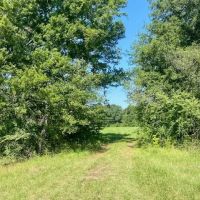 25 acres Jayess MS images 3