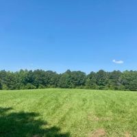 25 acres Jayess MS images 5
