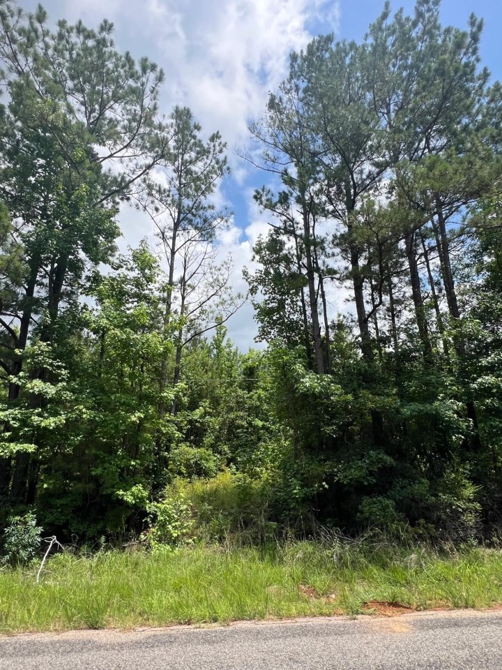 60 acres - Timber Hunting featured image