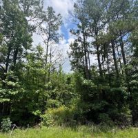 60 acres - Timber Hunting