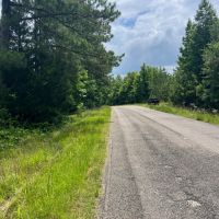 60 acres - Timber Hunting images 2