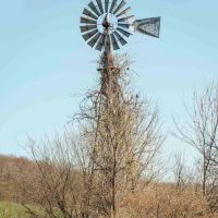Columbia County 80 Acres with 2 Homes images 5