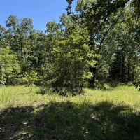 TBD Centerwood Blossom TX
