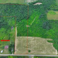 30 acres Recreational Land and Hunting Land in Ripley NY Johnson Rd images 4