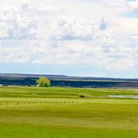 Lava Lake Home Ranch images 5