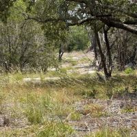 Land for Sale - Lampasas County images 3