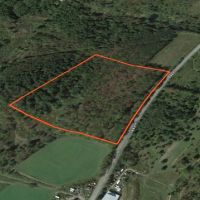 11 acre Hunting Land Near State Land Lincklaen NY images 4