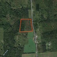 11 acre Hunting Land Near State Land Lincklaen NY images 5