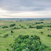4C Ranch images 4
