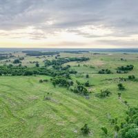 4C Ranch images 5
