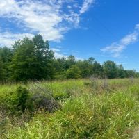LA - Madison 212 acres - images 5