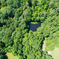 34 Acres with a Home in Lexington in Holmes County MS images 3