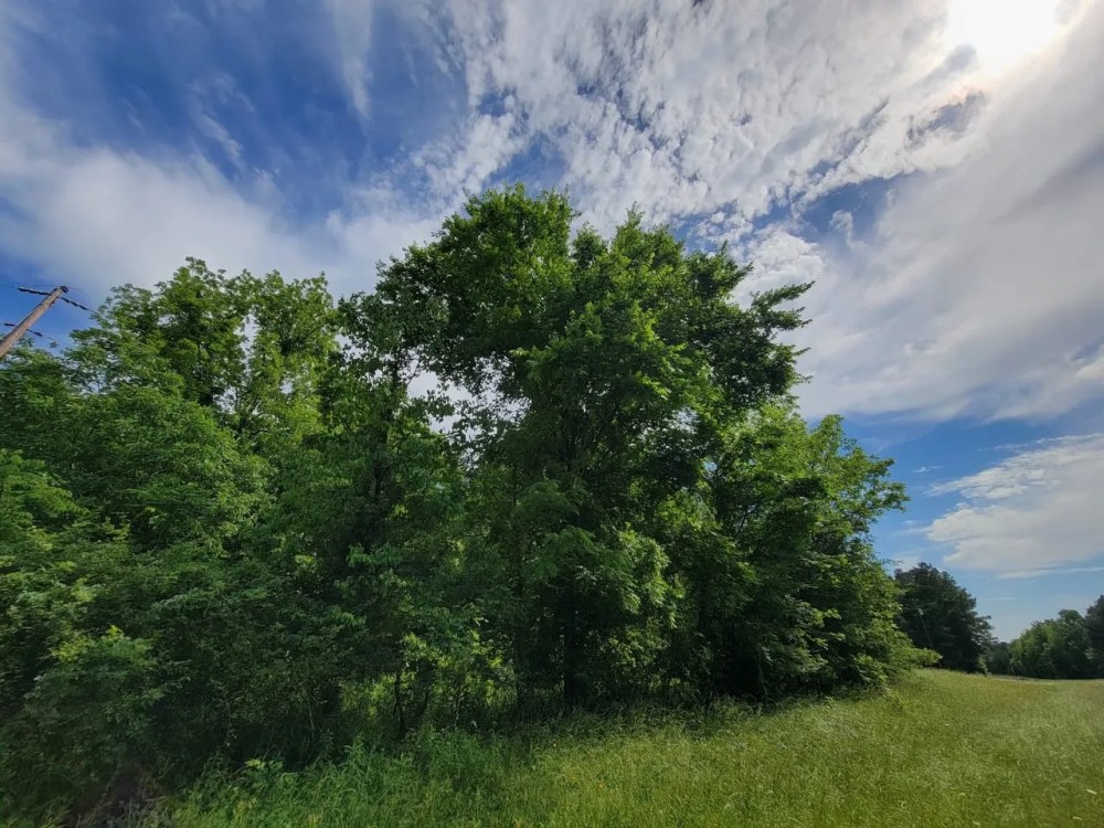 TBD Farm Road 1159 featured image