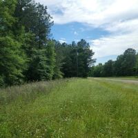 TBD Farm Road 1159 images 3