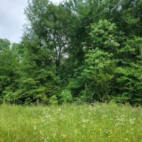 TBD Farm Road 1159 images 4