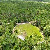 120 - Acres Recreational Timberland for Sale in Charlton County GA