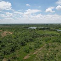 New Listing 67 - Acres Taylor County images 5