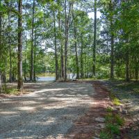 Tickfaw River Frontage amp Hunting images 3