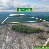 199 Acres of Country Bliss Prime Land in White Oak GA images 3