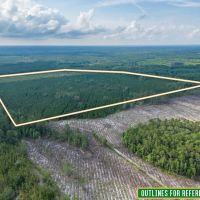 199 Acres of Country Bliss Prime Land in White Oak GA images 4